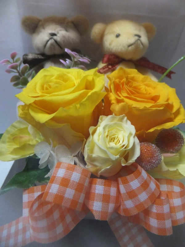 f:id:A-chi-family:20131001232922j:image:w360 f:id:A-chi-family:20131001232922j:image:w360