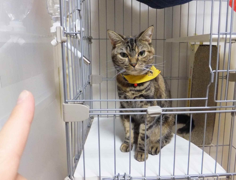 f:id:A-chi:20120918005246j:image:w360