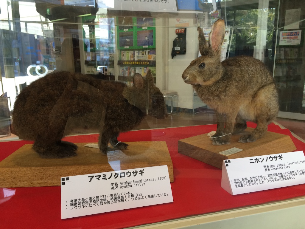 f:id:A1riron:20150725110906j:image f:id:A1riron:20150725110906j:image
