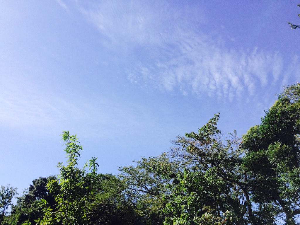 f:id:A1riron:20150930084252j:image f:id:A1riron:20150930084252j:image