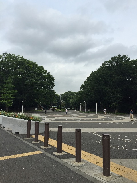 f:id:AAA316jp:20150626113105j:image f:id:AAA316jp:20150626113105j:image