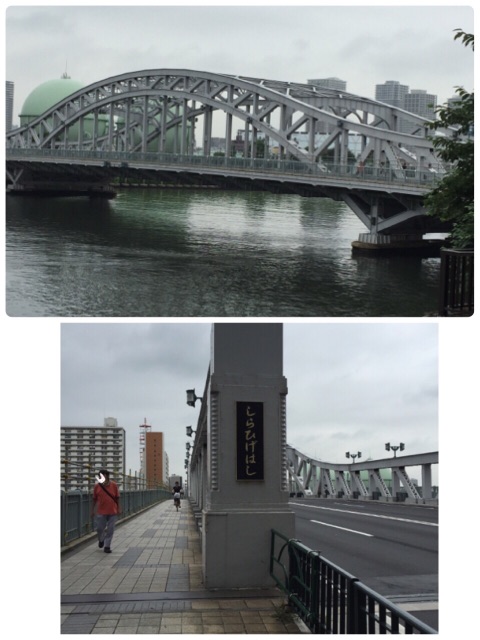 f:id:AAA316jp:20150707224442j:image f:id:AAA316jp:20150707224442j:image