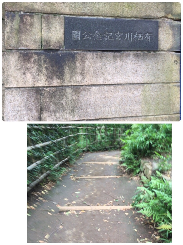 f:id:AAA316jp:20150718232237j:image f:id:AAA316jp:20150718232237j:image