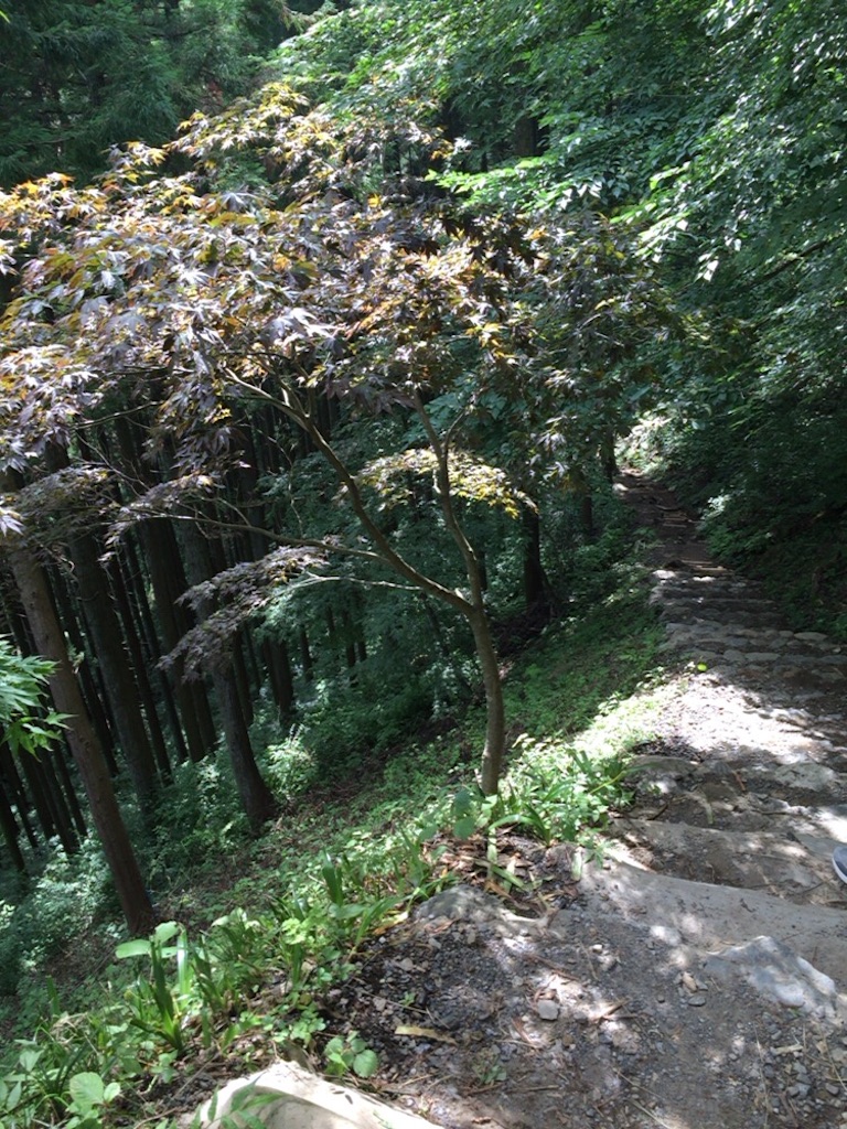 f:id:AAA316jp:20150720115426j:image f:id:AAA316jp:20150720115426j:image