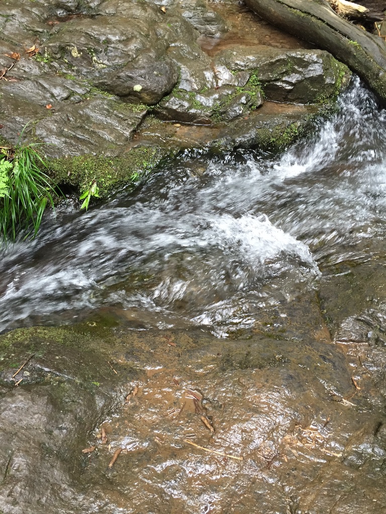 f:id:AAA316jp:20150720115922j:image f:id:AAA316jp:20150720115922j:image