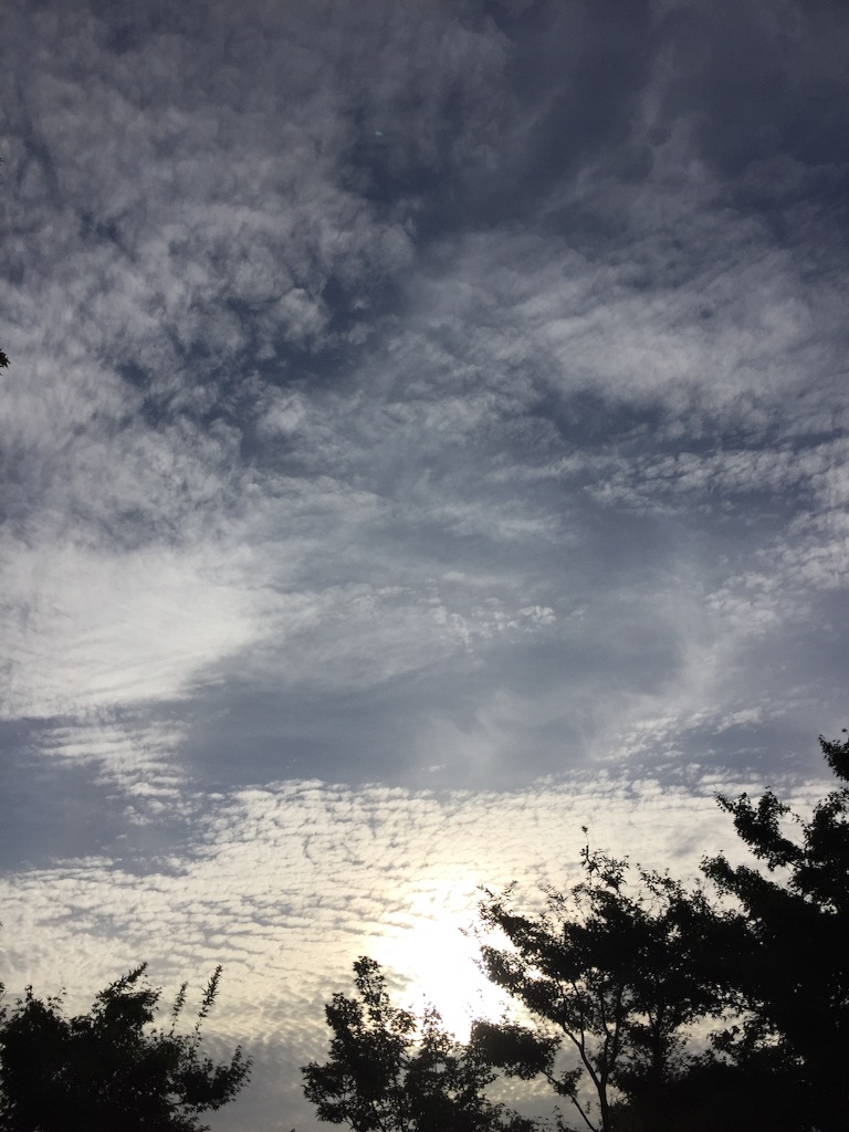 f:id:AGRESTE:20150819170828j:image f:id:AGRESTE:20150819170828j:image