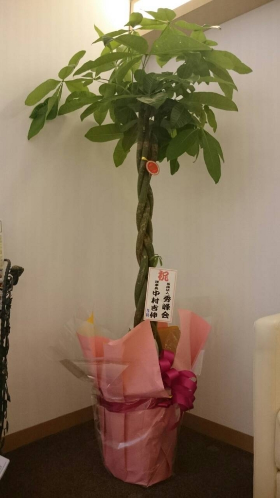 f:id:AJMC:20150630181107j:plain f:id:AJMC:20150630181107j:plain