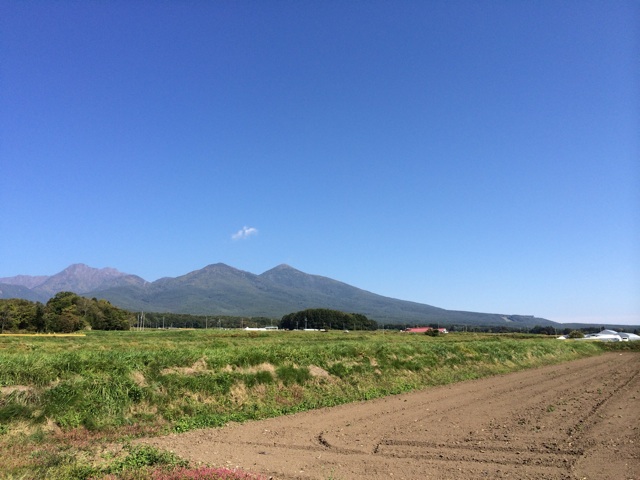 f:id:ASHIASHI:20141106085112j:plain f:id:ASHIASHI:20141106085112j:plain