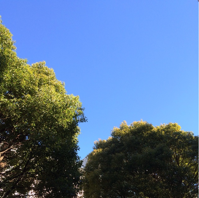 f:id:ASHIASHI:20141222215915j:plain f:id:ASHIASHI:20141222215915j:plain