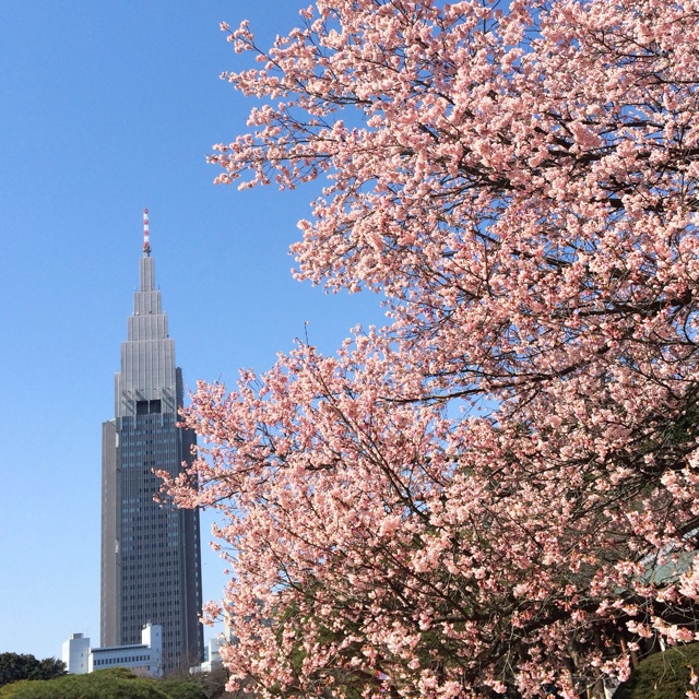 f:id:ASHIASHI:20150318171709j:plain f:id:ASHIASHI:20150318171709j:plain