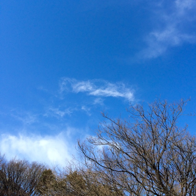 f:id:ASHIASHI:20150325205430j:plain f:id:ASHIASHI:20150325205430j:plain