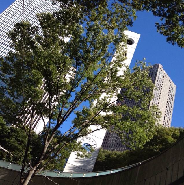f:id:ASHIASHI:20150723210200j:plain f:id:ASHIASHI:20150723210200j:plain