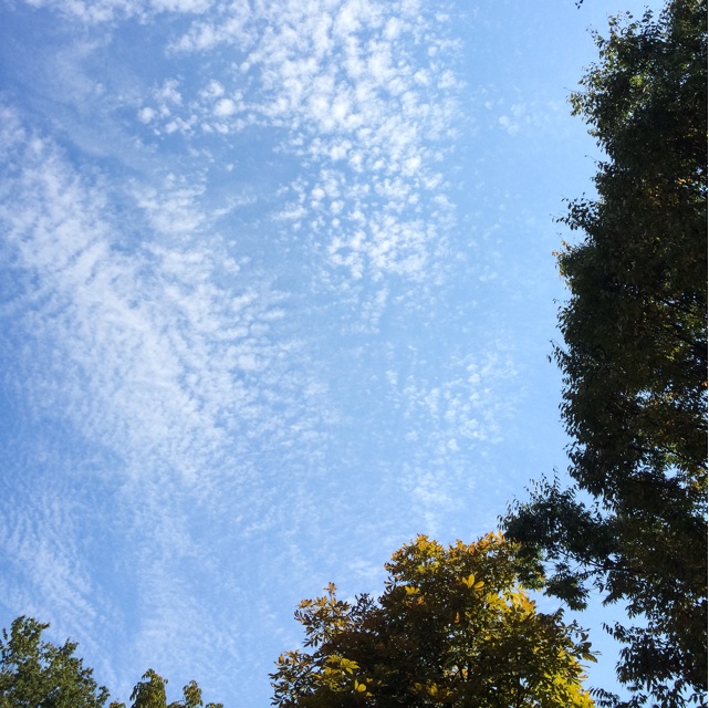 f:id:ASHIASHI:20151015162549j:plain f:id:ASHIASHI:20151015162549j:plain