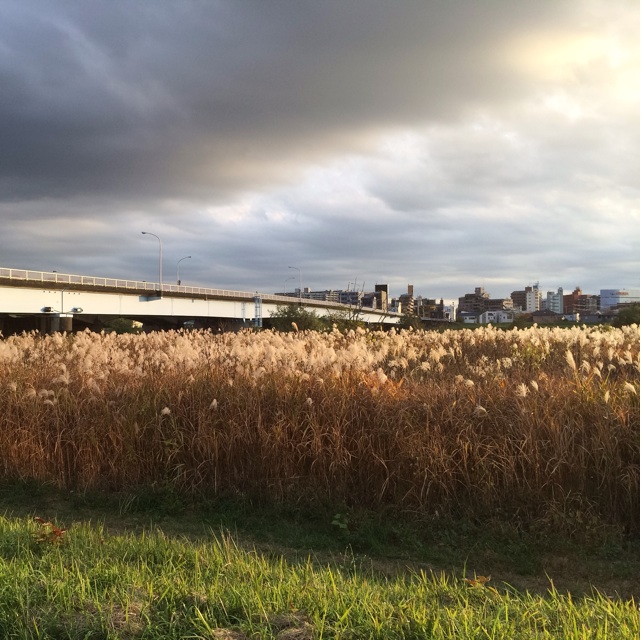 f:id:ASHIASHI:20151118181424j:plain f:id:ASHIASHI:20151118181424j:plain