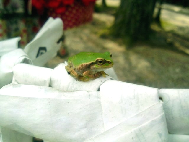 20110801094523.jpg