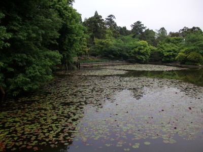 f:id:A_Koide0519:20120530132913j:image f:id:A_Koide0519:20120530132913j:image