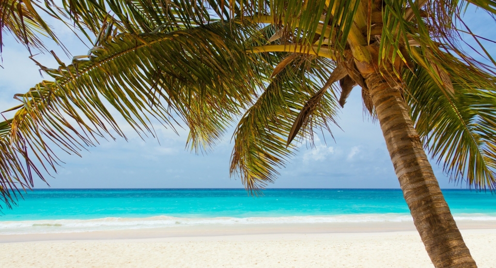 f:id:Ada_bana:20151027133420j:plain