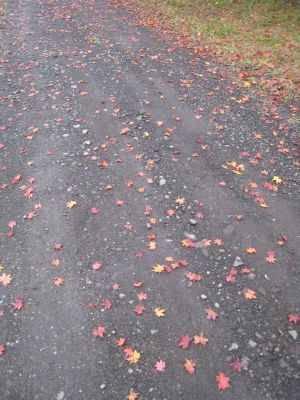f:id:AirReader:20071027120523j:image