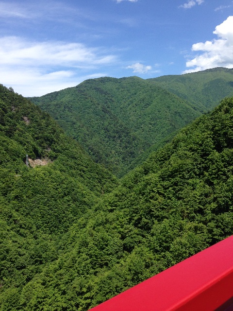 f:id:AkasakaIchiro:20150531101910j:image f:id:AkasakaIchiro:20150531101910j:image