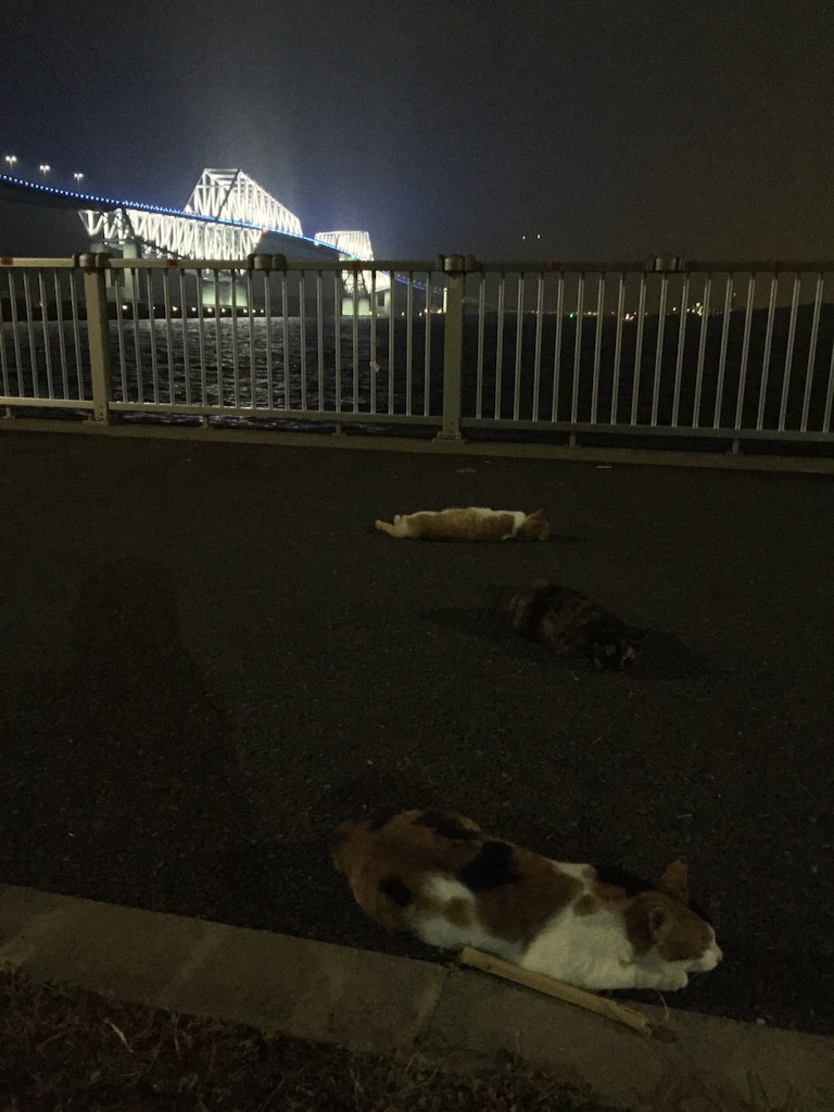f:id:AkasakaIchiro:20150802235728j:image f:id:AkasakaIchiro:20150802235728j:image