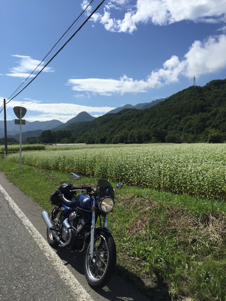 f:id:AkasakaIchiro:20150823211504j:image f:id:AkasakaIchiro:20150823211504j:image