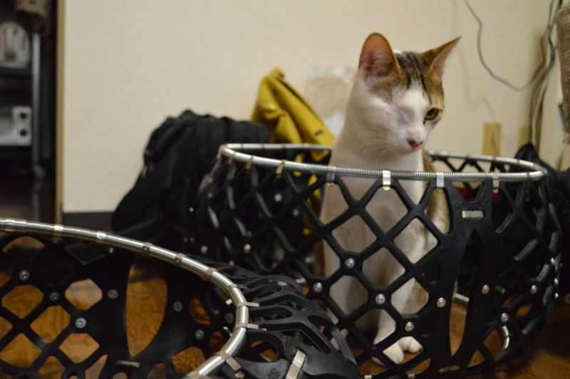 f:id:Akira_0w0:20140208142034j:plain f:id:Akira_0w0:20140208142034j:plain