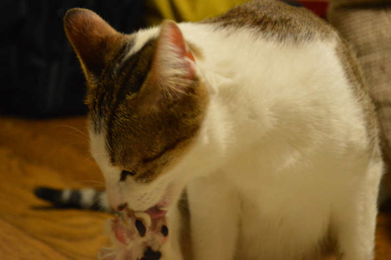 f:id:Akira_0w0:20140208171359j:plain