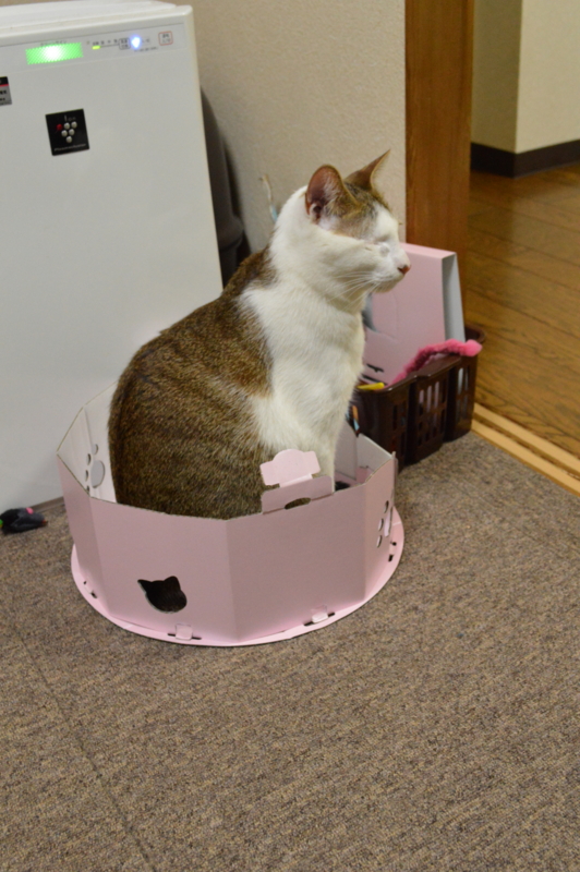 f:id:Akira_0w0:20140209173626j:plain f:id:Akira_0w0:20140209173626j:plain