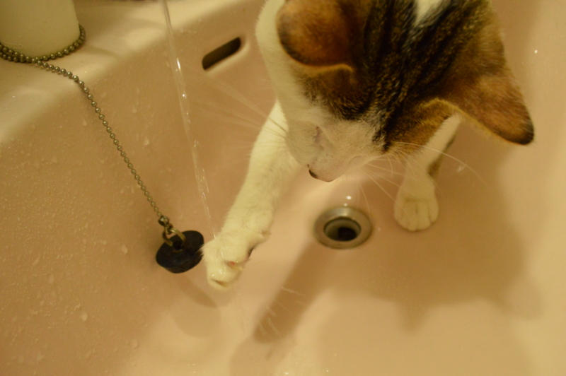 f:id:Akira_0w0:20140211234005j:plain