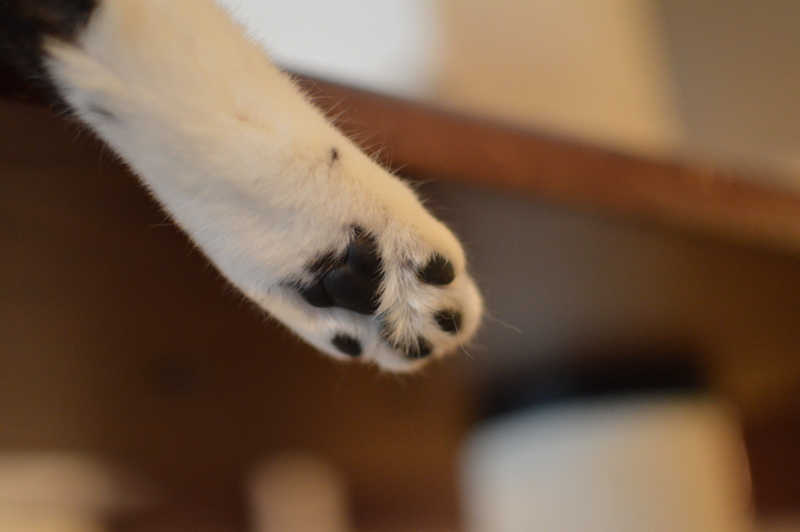 f:id:Akira_0w0:20140301104126j:plain