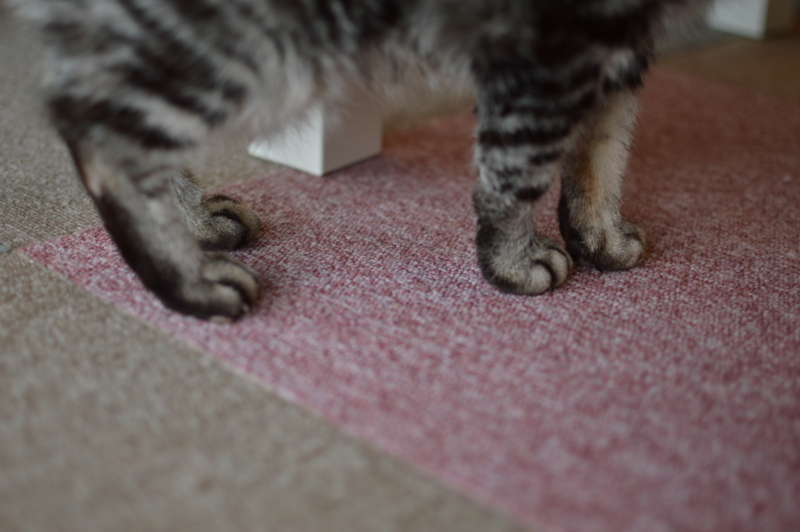 f:id:Akira_0w0:20140301105139j:plain