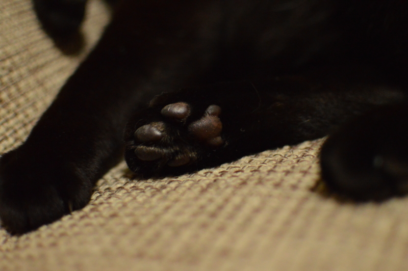 f:id:Akira_0w0:20140423235639j:plain