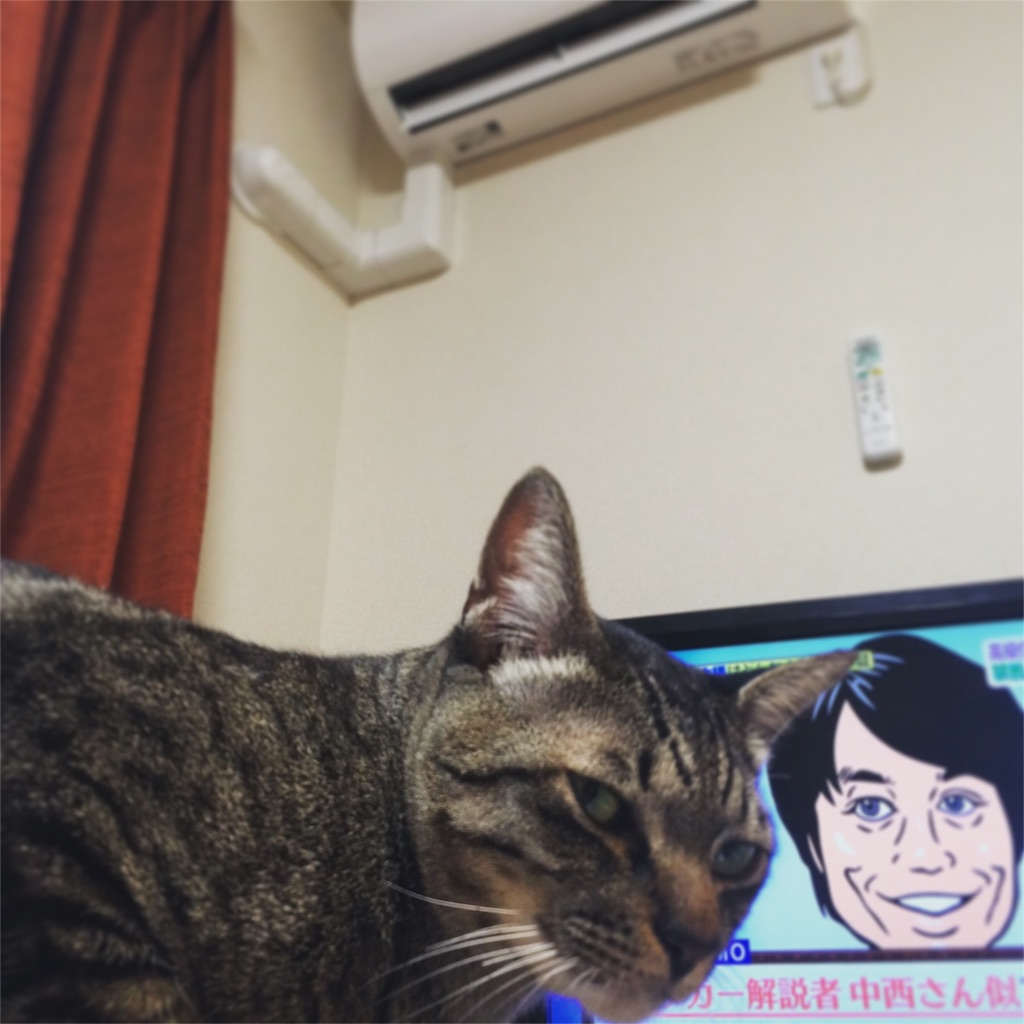 f:id:Akira_0w0:20151123132324j:image f:id:Akira_0w0:20151123132324j:image