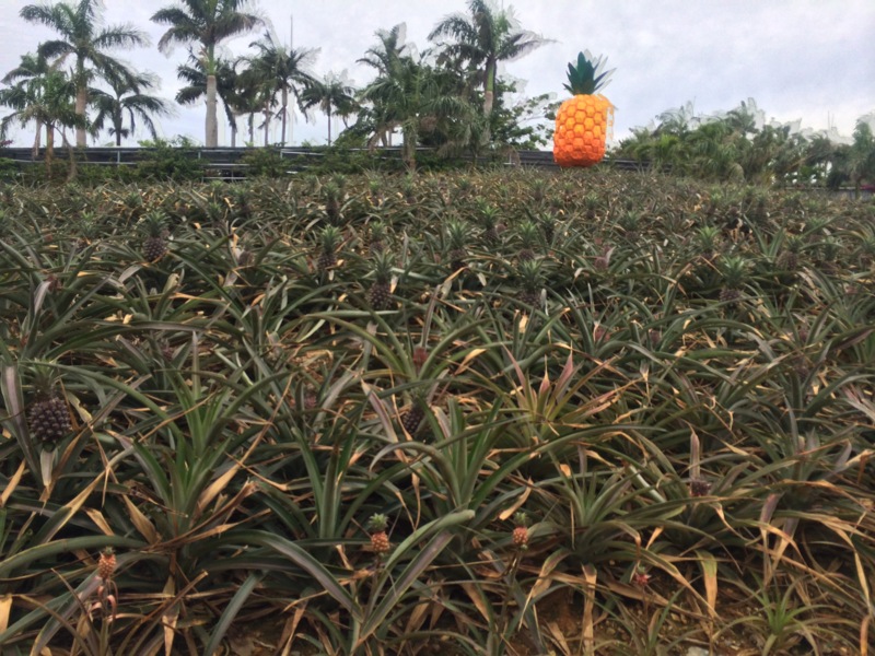 f:id:Akkiesoft:20140621110047j:plain:w280 f:id:Akkiesoft:20140621110047j:plain:w280