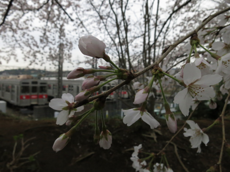 f:id:Akkiesoft:20160402171624j:plain