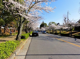 f:id:Algorithm:20110406235040j:image