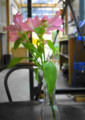 20120512224547