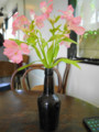 20120515182018