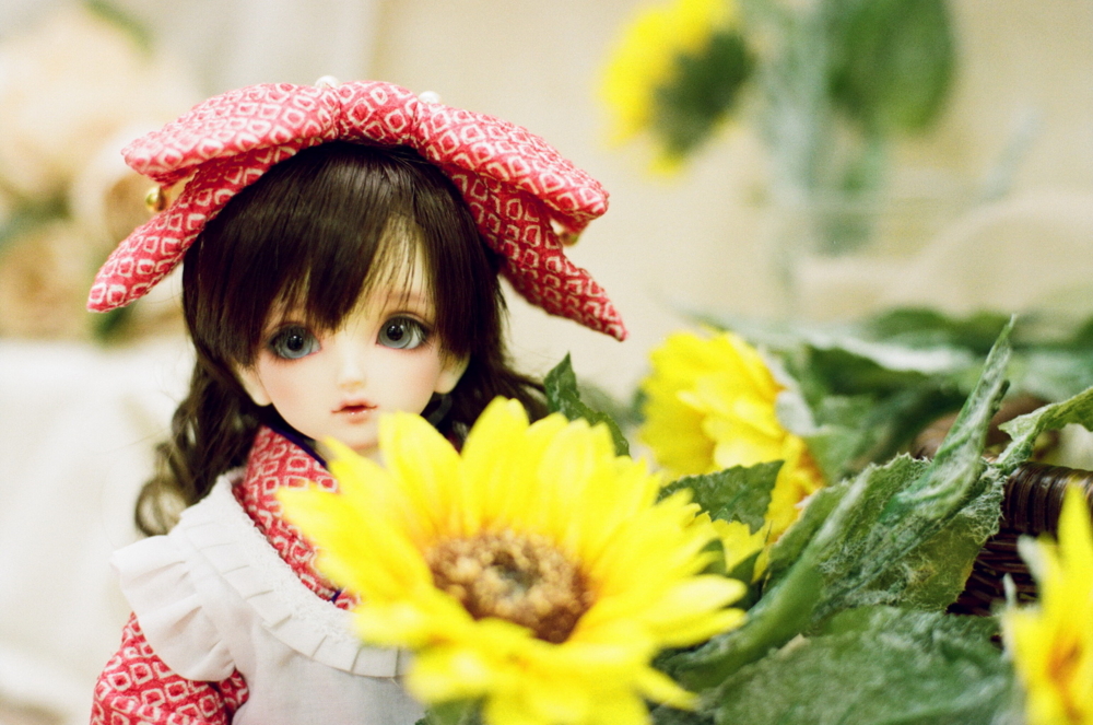 f:id:AliceSheila:20150821011345j:plain:w500