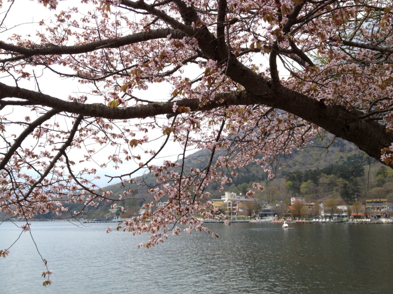 f:id:Aodrey:20120520135124j:image:w360