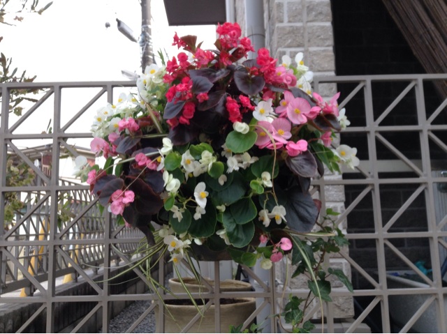 f:id:Appleminto:20140609080352j:plain f:id:Appleminto:20140609080352j:plain