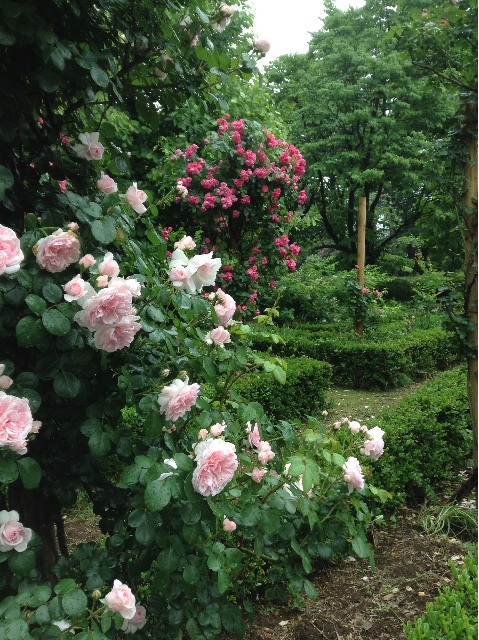 f:id:Appleminto:20150519182109j:image f:id:Appleminto:20150519182109j:image