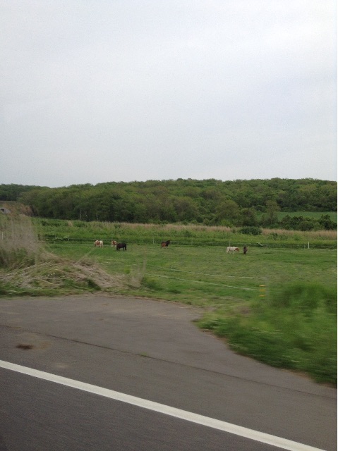 f:id:Appleminto:20150603185225j:image f:id:Appleminto:20150603185225j:image