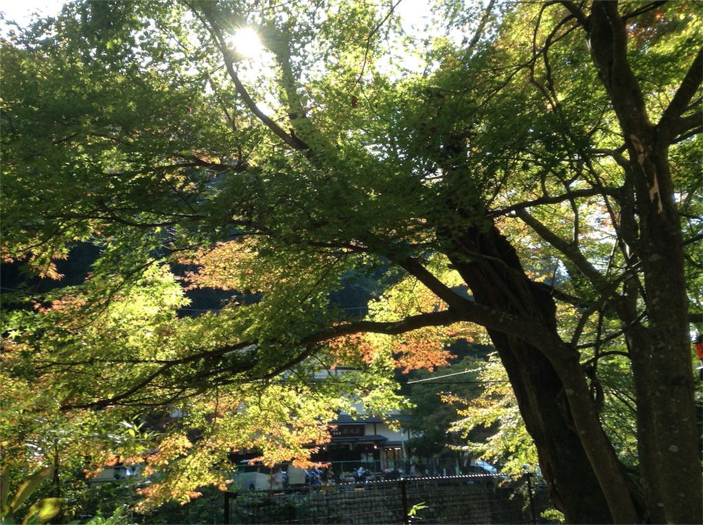 f:id:Appleminto:20151018184652j:image f:id:Appleminto:20151018184652j:image