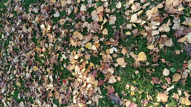 f:id:Aquamarinew:20151107220156j:image f:id:Aquamarinew:20151107220156j:image