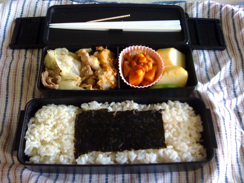 f:id:Arithmatix:20091020123638j:image:w425