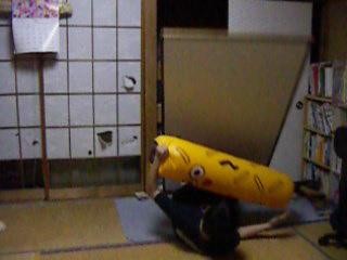 f:id:Arufa:20061208224210j:image