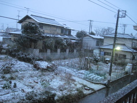 f:id:Arufa:20100218211146j:image