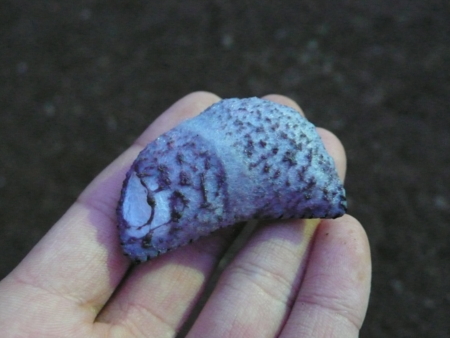 f:id:Arufa:20120308022125j:image