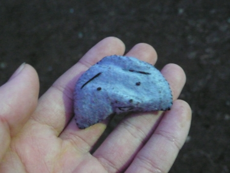 f:id:Arufa:20120308022937j:image